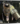 454b5f43-6292-4de7-b0aa-8bced11c4e04-removebg-preview